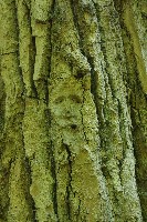 IMGP6088.JPG IMGP6088.JPG