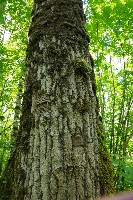 IMGP6089.JPG IMGP6089.JPG