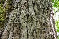 IMGP6091.JPG IMGP6091.JPG