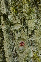 IMGP6092.JPG IMGP6092.JPG