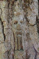 IMGP6095.JPG IMGP6095.JPG