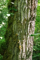 IMGP6096.JPG IMGP6096.JPG