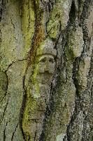 IMGP6097.JPG IMGP6097.JPG