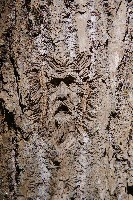 IMGP6099.JPG IMGP6099.JPG