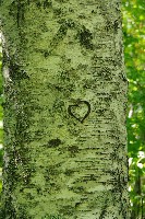 IMGP6100.JPG IMGP6100.JPG