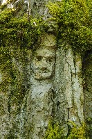 IMGP6101.JPG IMGP6101.JPG