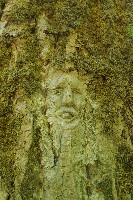 IMGP6102.JPG IMGP6102.JPG