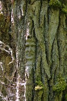 IMGP6103.JPG IMGP6103.JPG