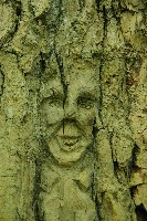 IMGP6104.JPG IMGP6104.JPG