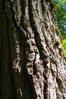 IMGP6105.JPG IMGP6105.JPG