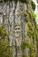 IMGP6107.JPG IMGP6107.JPG