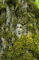 IMGP6108.JPG IMGP6108.JPG