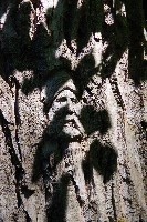 IMGP6109.JPG IMGP6109.JPG