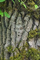 IMGP6110.JPG IMGP6110.JPG