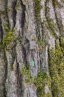 IMGP6111.JPG IMGP6111.JPG