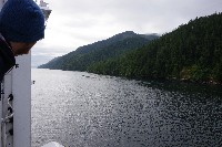 IMGP6129.JPG IMGP6129.JPG