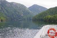 IMGP6134.JPG IMGP6134.JPG