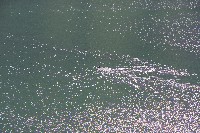 IMGP6157.JPG IMGP6157.JPG