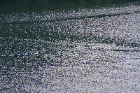 IMGP6158.JPG IMGP6158.JPG