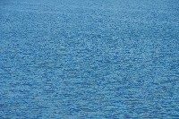 IMGP6183.JPG IMGP6183.JPG