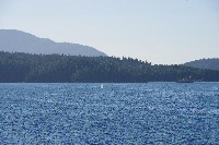 IMGP6184.JPG IMGP6184.JPG