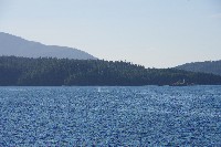 IMGP6185.JPG IMGP6185.JPG