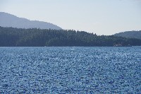 IMGP6186.JPG IMGP6186.JPG