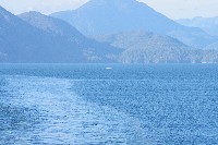 IMGP6189.JPG IMGP6189.JPG