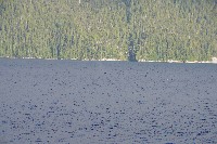 IMGP6196.JPG IMGP6196.JPG