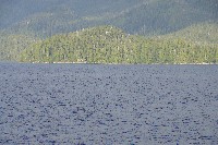 IMGP6199.JPG IMGP6199.JPG