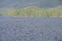 IMGP6200.JPG IMGP6200.JPG