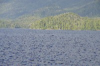 IMGP6201.JPG IMGP6201.JPG