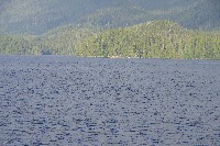 IMGP6202.JPG IMGP6202.JPG