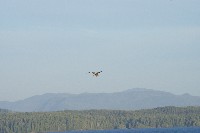 IMGP6210.JPG IMGP6210.JPG