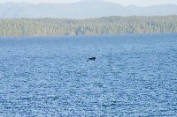 IMGP6211.JPG IMGP6211.JPG