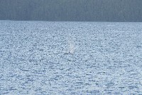 IMGP6212.JPG IMGP6212.JPG