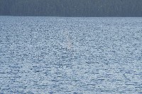 IMGP6213.JPG IMGP6213.JPG