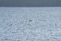 IMGP6215.JPG IMGP6215.JPG