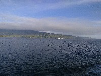 IMG_20180817_190832.jpg IMG_20180817_190832.jpg