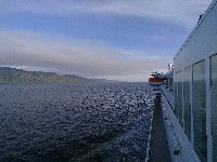 IMG_20180817_190835.jpg IMG_20180817_190835.jpg