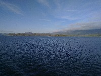 IMG_20180817_190839.jpg IMG_20180817_190839.jpg