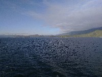 IMG_20180817_191422.jpg IMG_20180817_191422.jpg