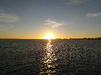 IMG_20180817_202939.jpg IMG_20180817_202939.jpg