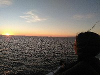 IMG_20180817_204545.jpg IMG_20180817_204545.jpg