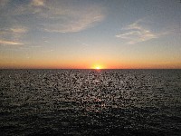 IMG_20180817_204616.jpg IMG_20180817_204616.jpg