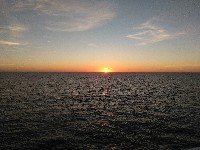 IMG_20180817_204637.jpg IMG_20180817_204637.jpg