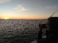 IMG_20180817_204712.jpg IMG_20180817_204712.jpg