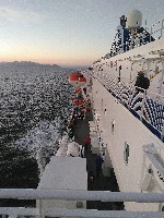 IMG_20180817_204738.jpg IMG_20180817_204738.jpg