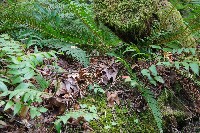 IMGP6280.JPG IMGP6280.JPG