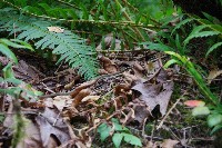 IMGP6281.JPG IMGP6281.JPG